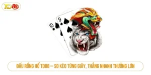 Đấu rồng hổ